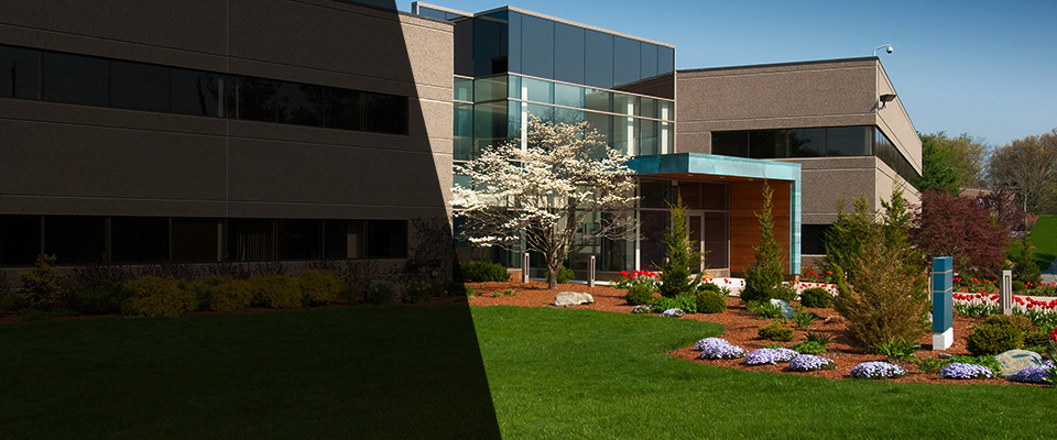 Westlake Landscapers
