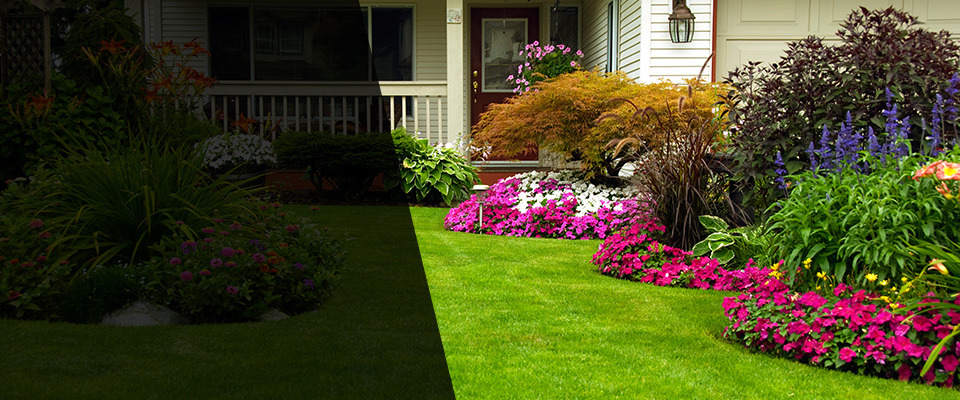 Westlake Landscapers